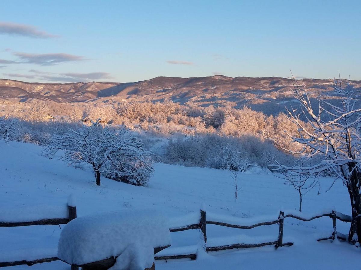 Stara Hiza Vlasic Chalet